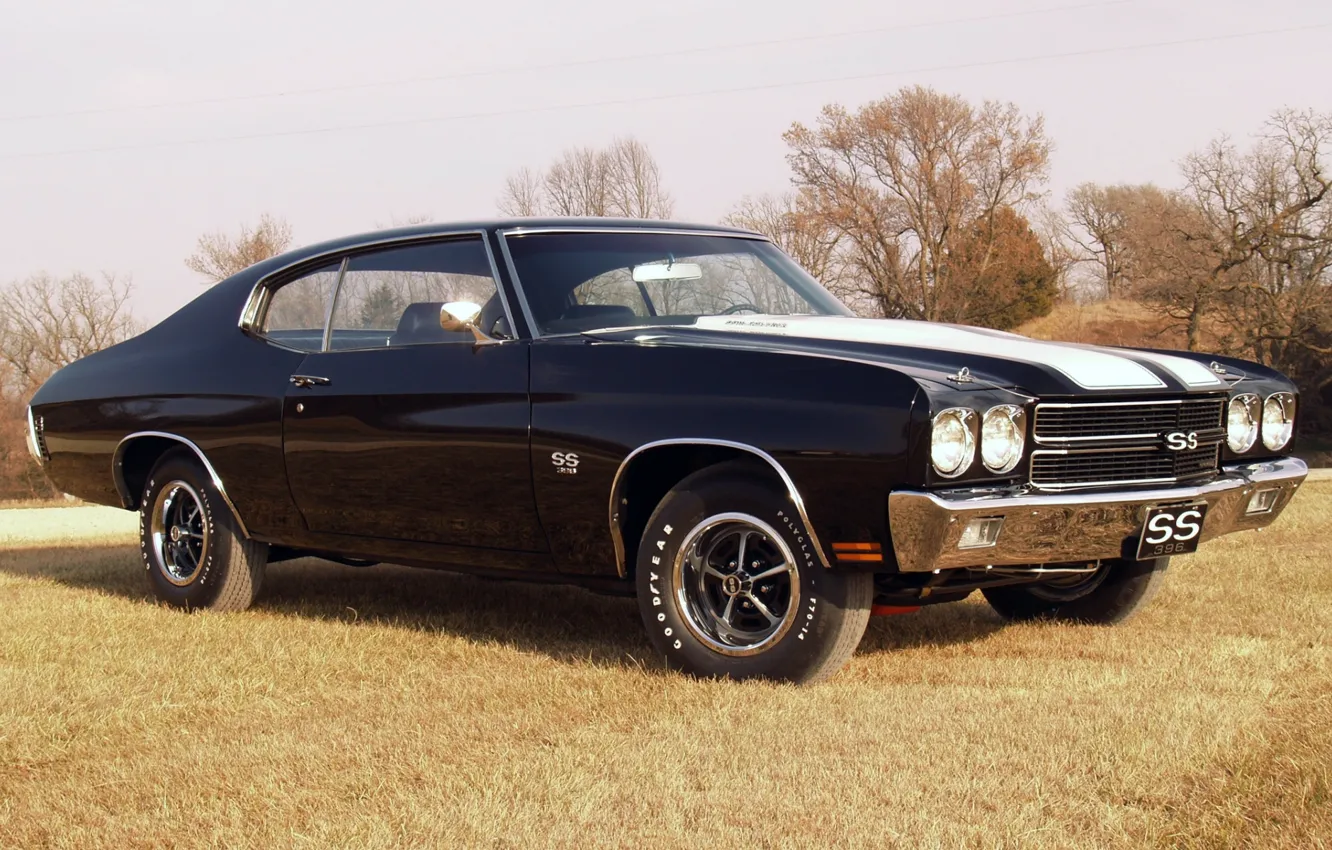 Photo wallpaper the sky, grass, trees, black, coupe, Chevrolet, Chevrolet, Coupe