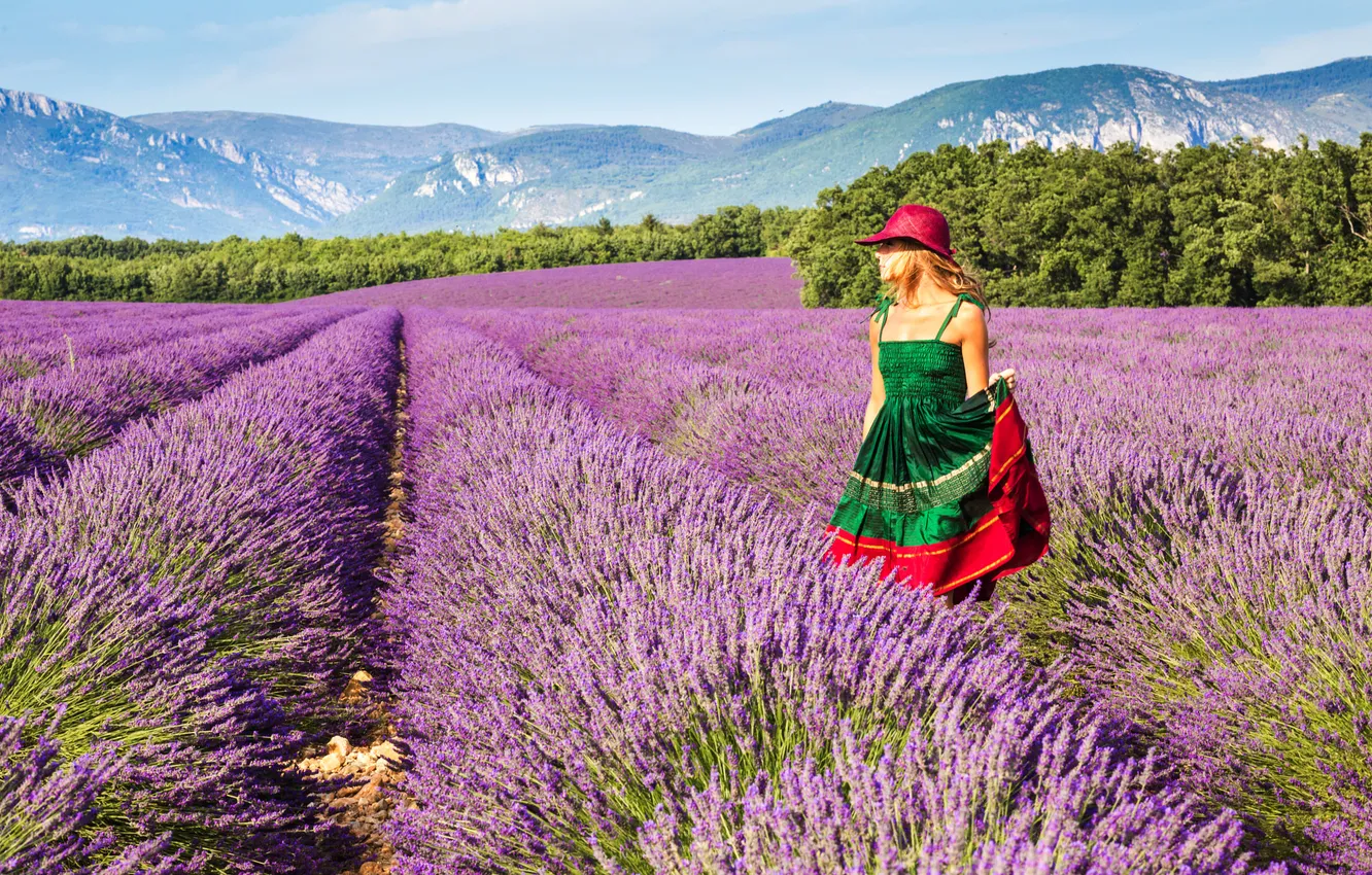 Photo wallpaper girl, mountains, hat, walk, lavender, sundress, plantation, green dress