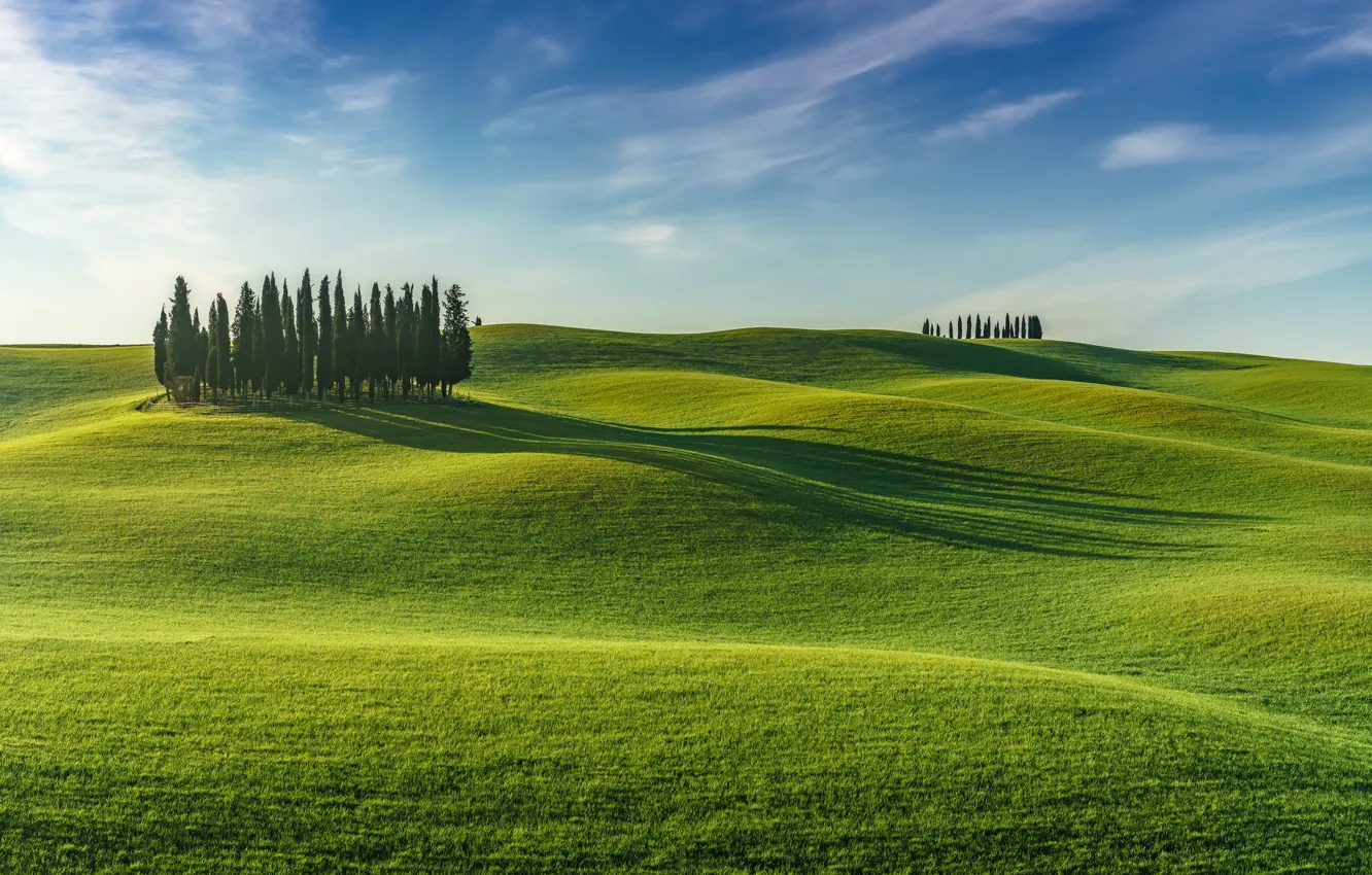 Photo wallpaper the sky, clouds, trees, hills