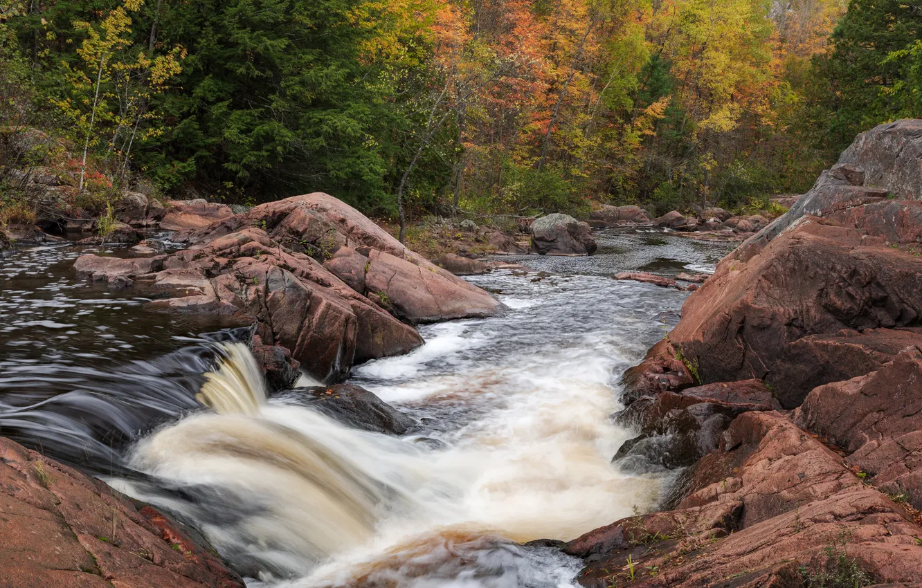 Photo wallpaper autumn, forest, stones, river