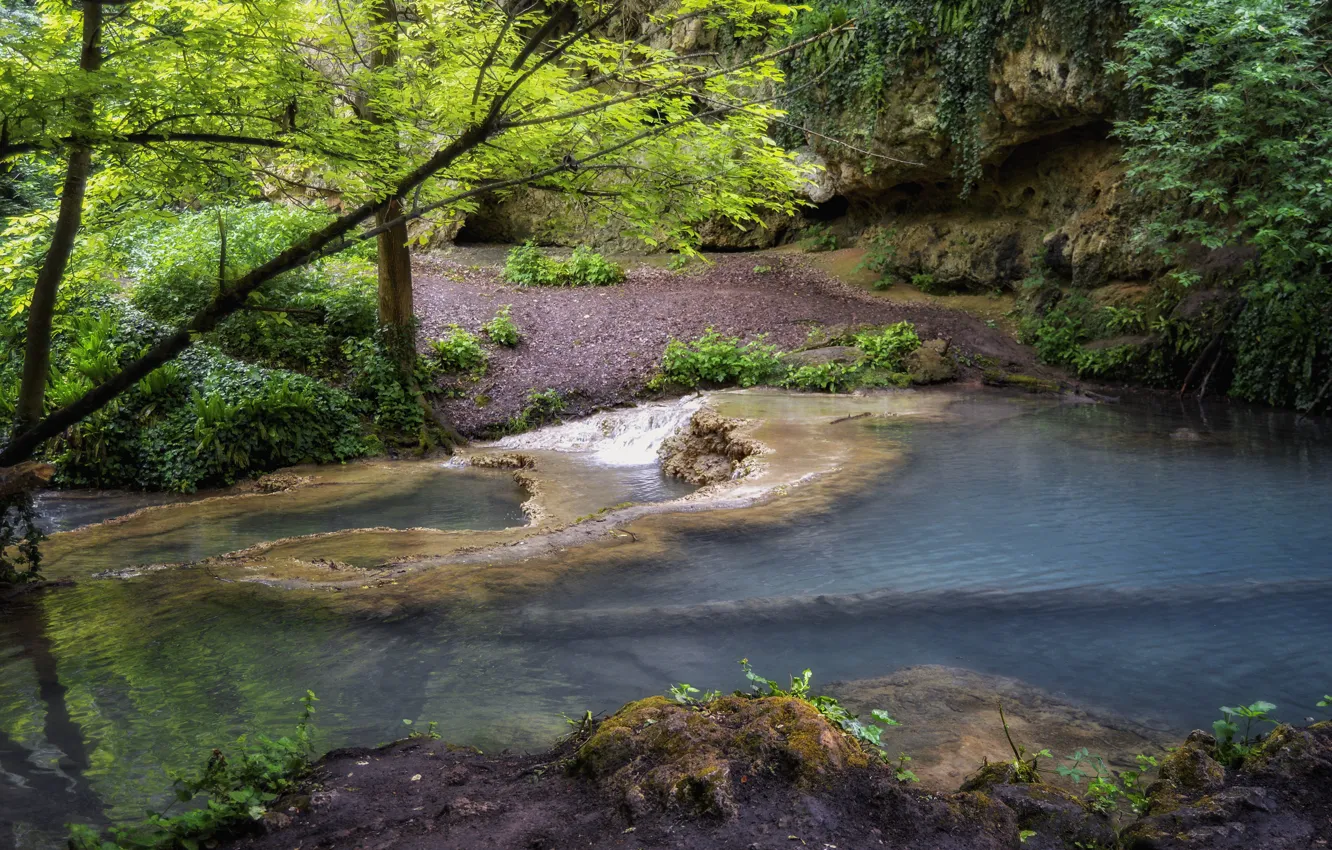Photo wallpaper forest, water, river, nature nature, Bulgaria, mountain river