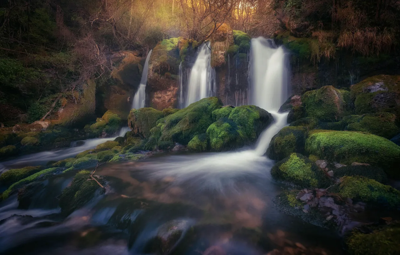 Photo wallpaper forest, stones, waterfall, moss, stream