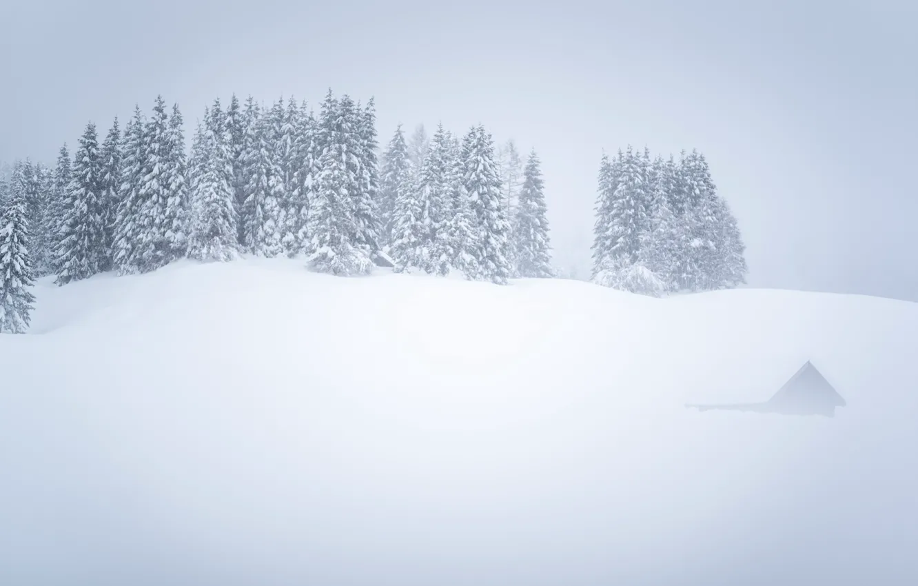 Photo wallpaper winter, snow, fog