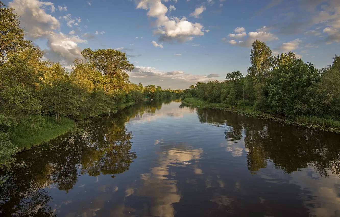 Photo wallpaper autumn, trees, nature, river