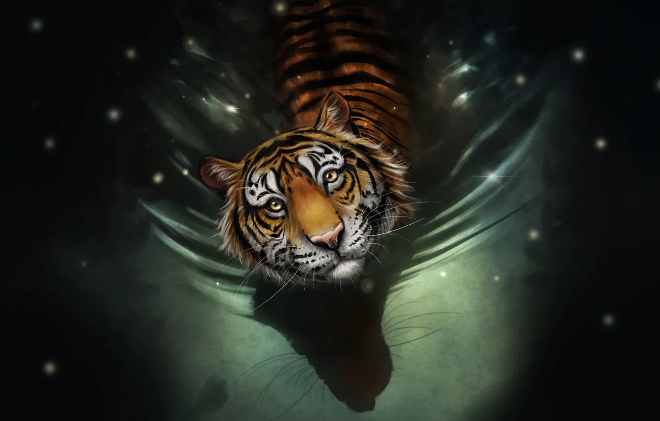 Photo wallpaper Water, Figure, Look, Cat, Tiger, Face, Art, Tiger