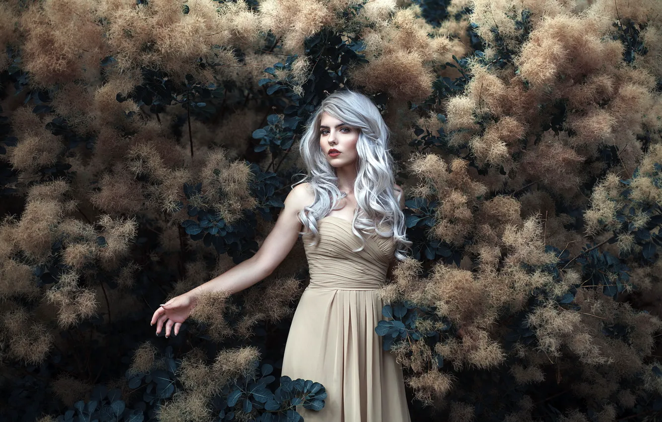 Photo wallpaper look, girl, portrait