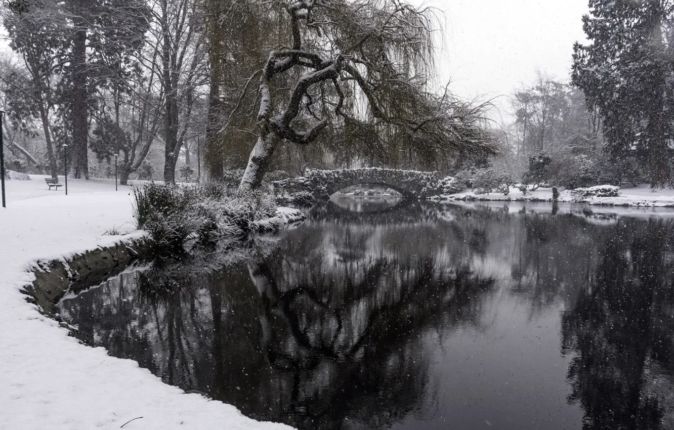 Photo wallpaper winter, snow, beacon hill park, Goodacre Lake
