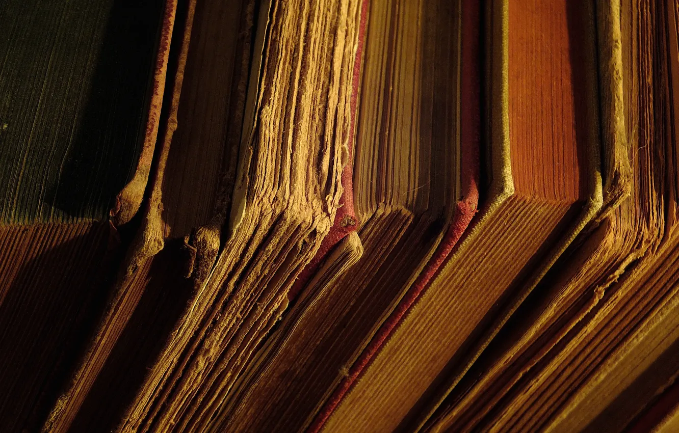 Photo wallpaper close-up, old, retro, book, old, library, Tom, a lot