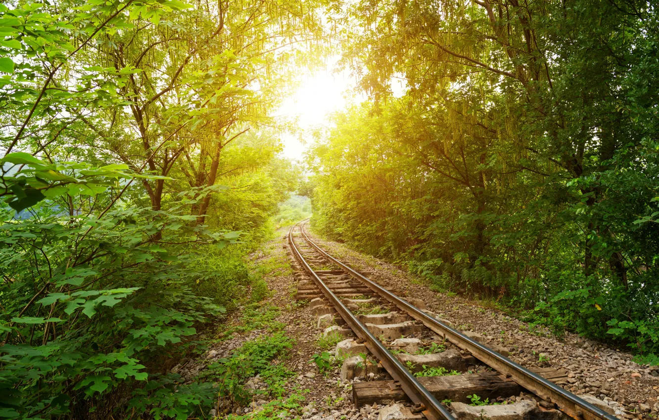 Photo wallpaper greens, forest, the sun, trees, rails, railroad, gravel, sleepers