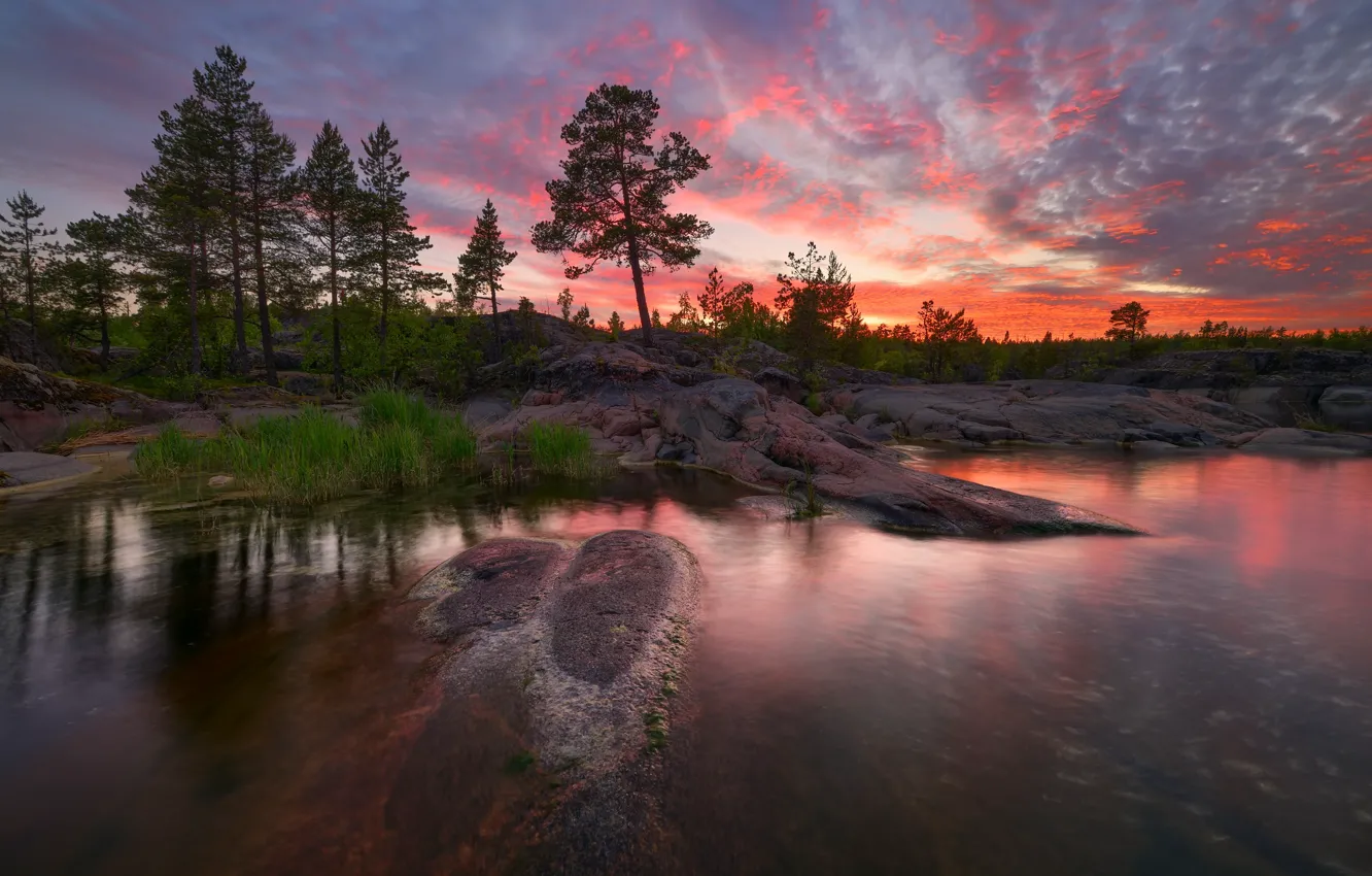 Photo wallpaper trees, landscape, night, nature, lake, stones, shore, Lake Ladoga