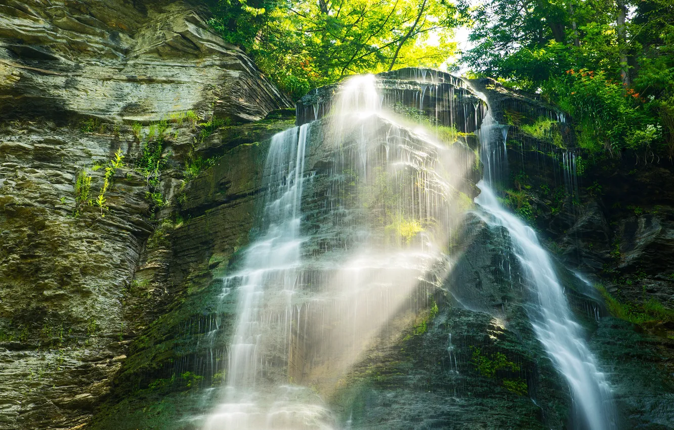 Photo wallpaper greens, rays, light, rocks, waterfall, stream
