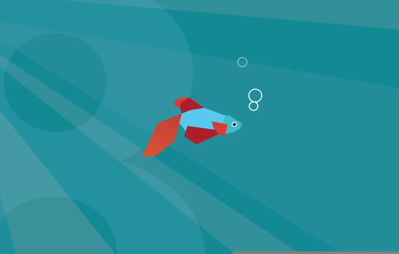 Photo wallpaper fish, minimal, Windows 8, default