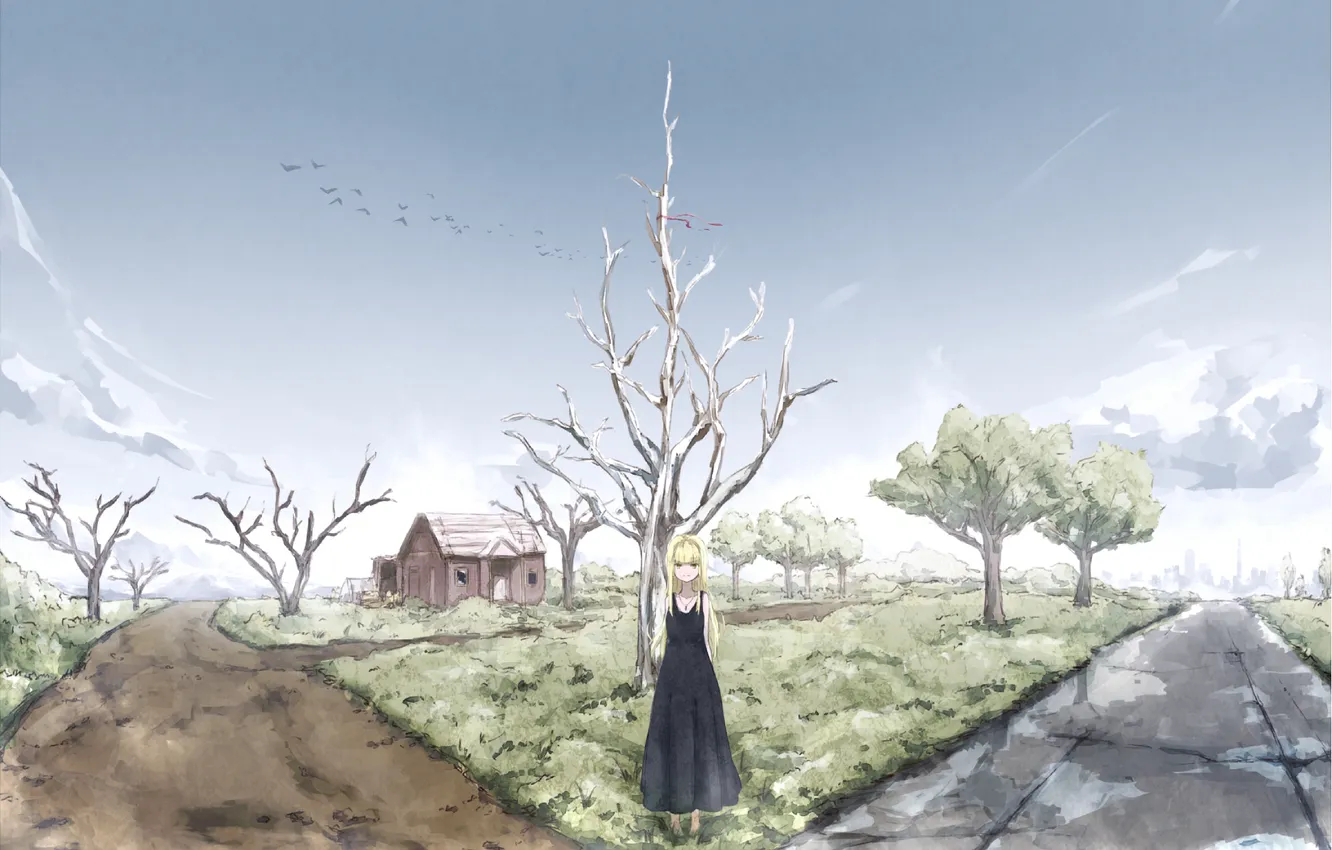 Photo wallpaper road, the sky, look, girl, clouds, trees, bird, home