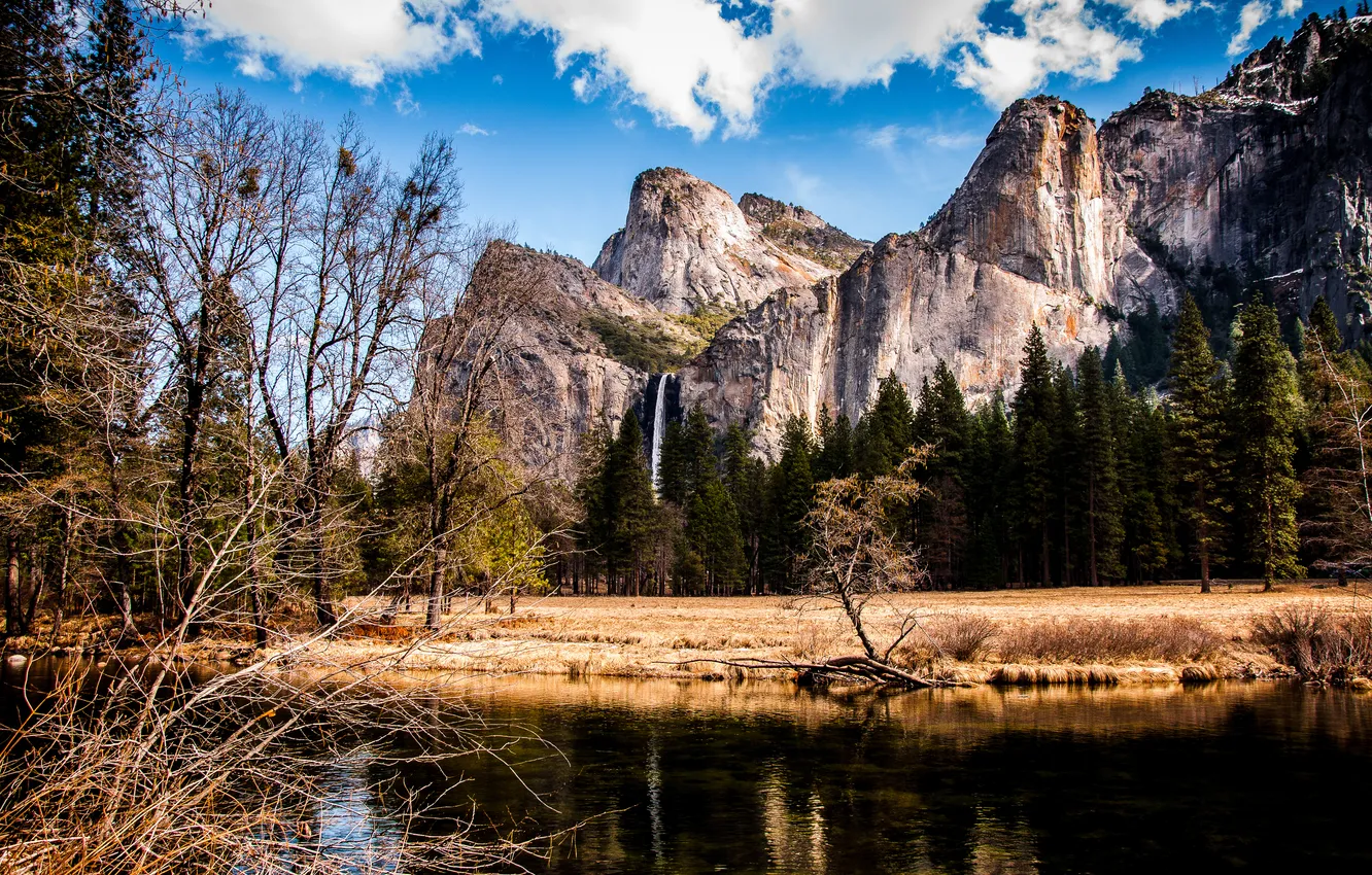 Photo wallpaper trees, mountains, river, shore, tops, waterfall, USA, Yosemite National Park