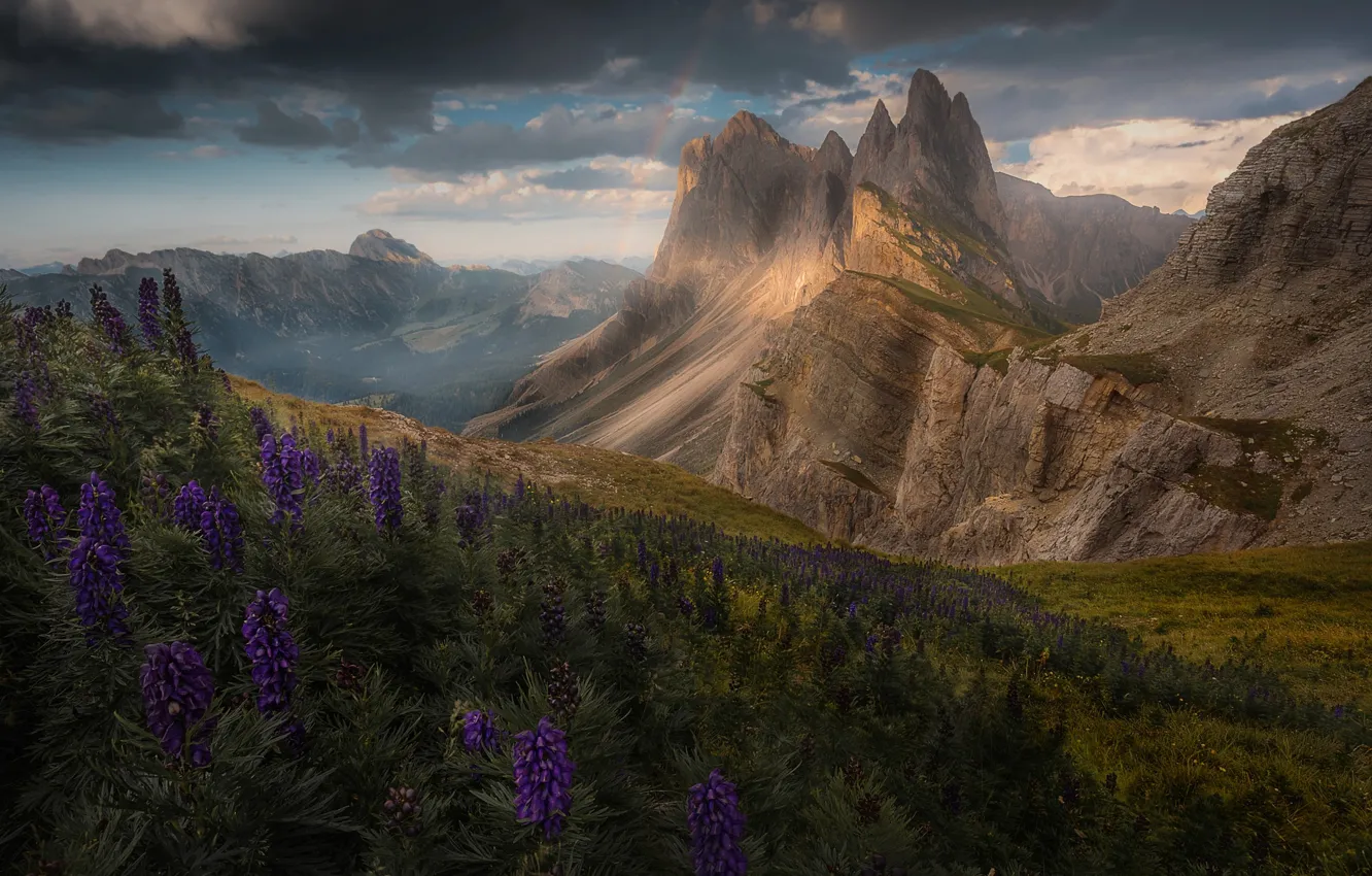 Photo wallpaper flowers, mountains, rainbow, Alps