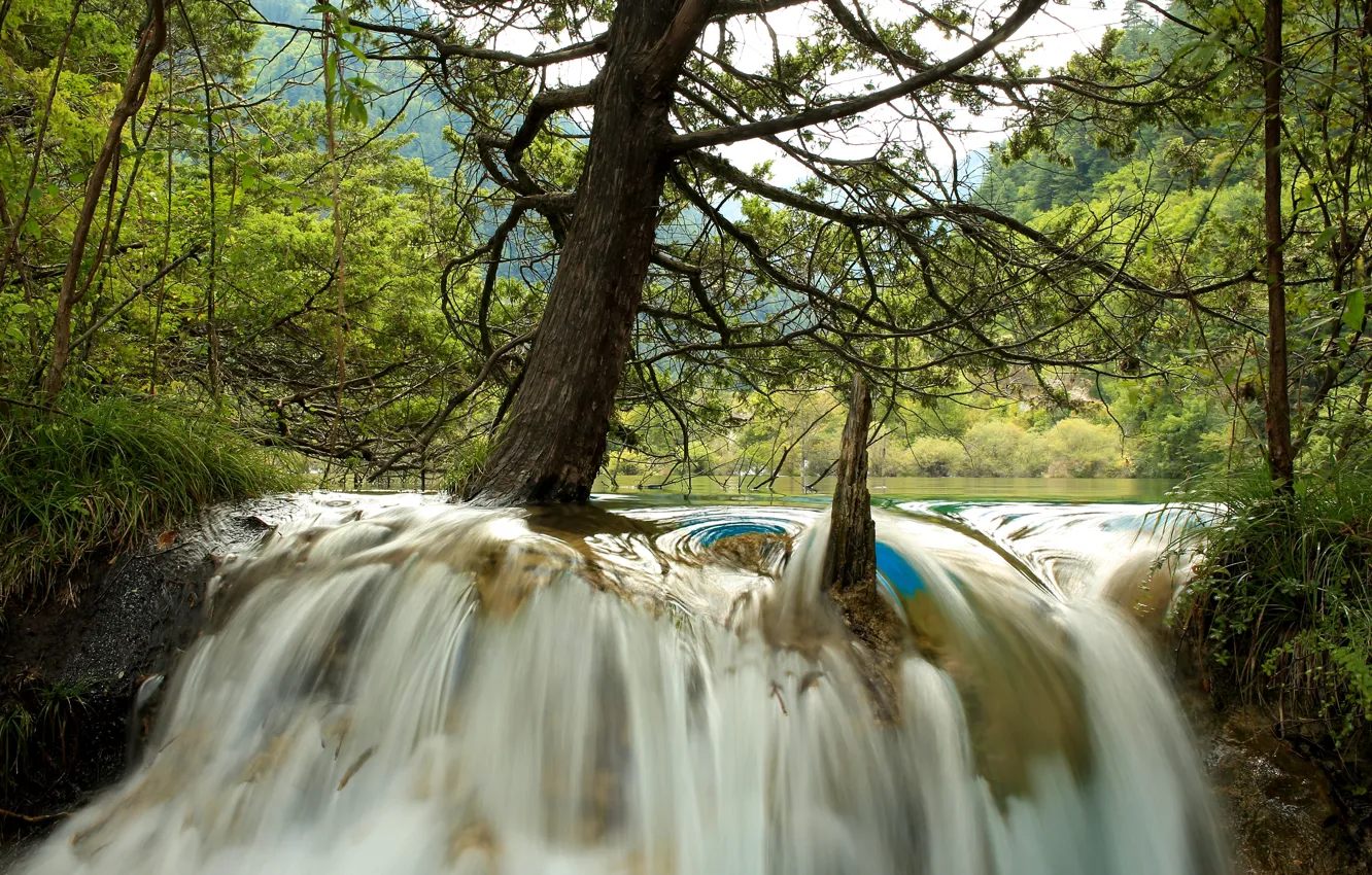 Photo wallpaper forest, trees, river, waterfall, China, Jiuzhaigou National Park