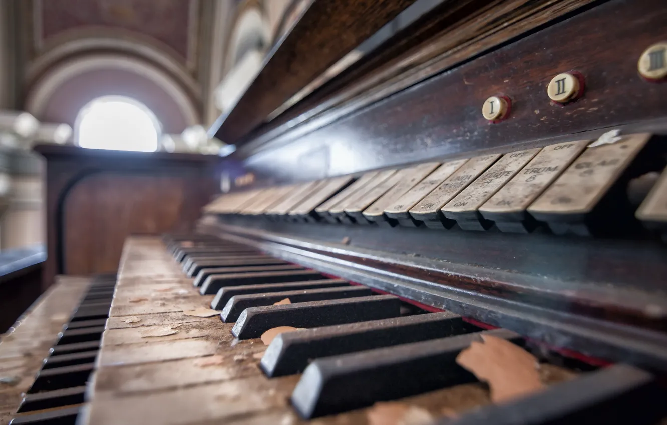 Photo wallpaper music, background, body