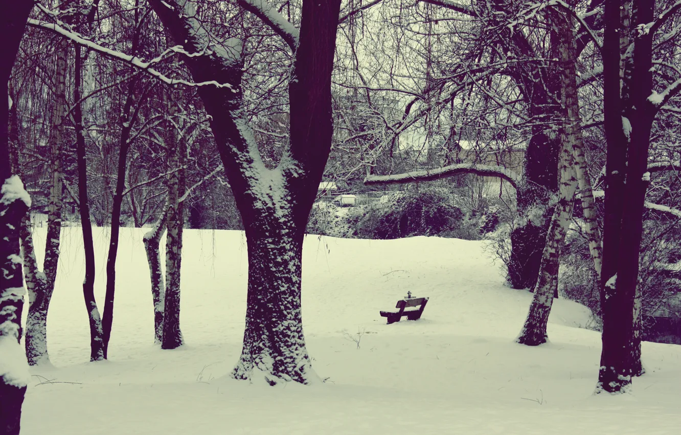 Photo wallpaper winter, snow, nature, Park, yard