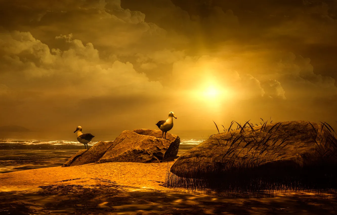 Photo wallpaper sea, the sky, the sun, clouds, light, landscape, sunset, nature