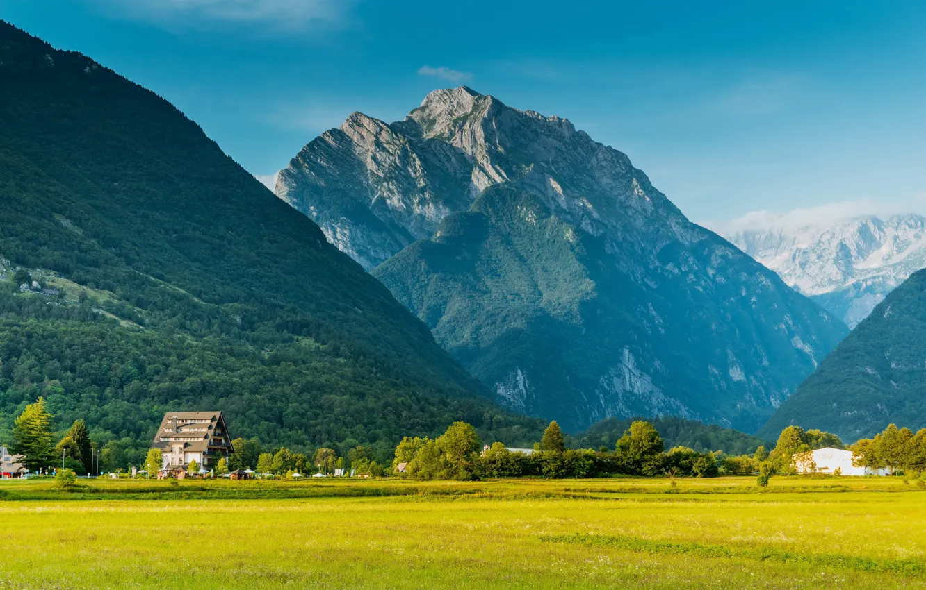 Photo wallpaper field, forest, the sky, grass, the sun, trees, mountains, rocks