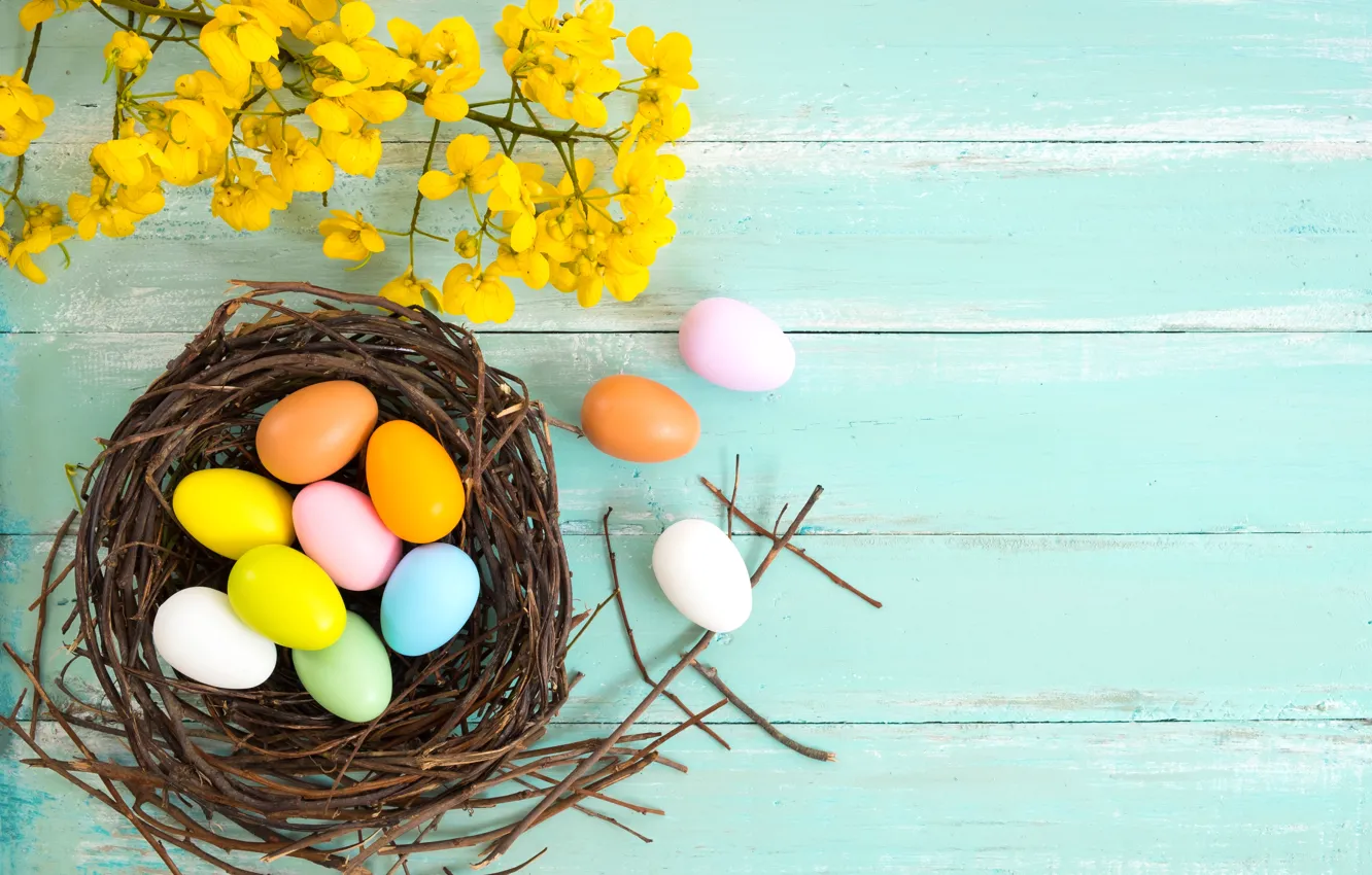 Photo wallpaper flowers, branches, holiday, eggs, Easter, socket