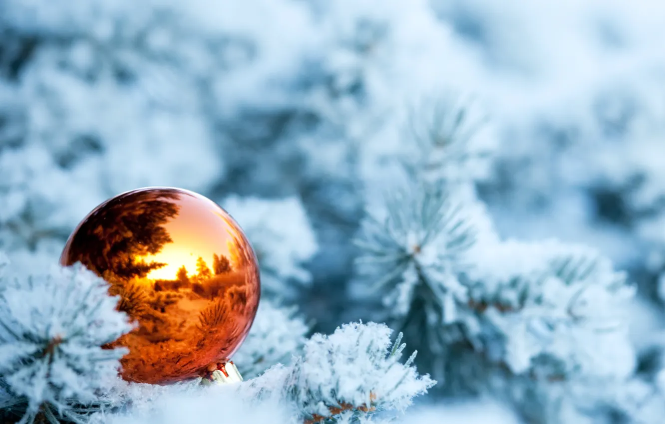 Photo wallpaper winter, snow, branches, reflection, spruce, ball, tree, Christmas toy
