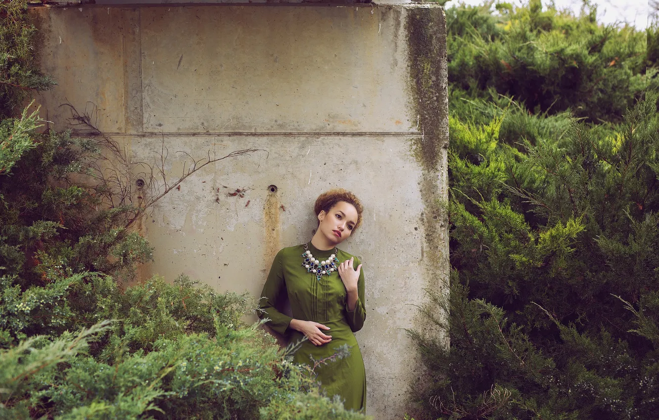 Photo wallpaper girl, face, background, hair