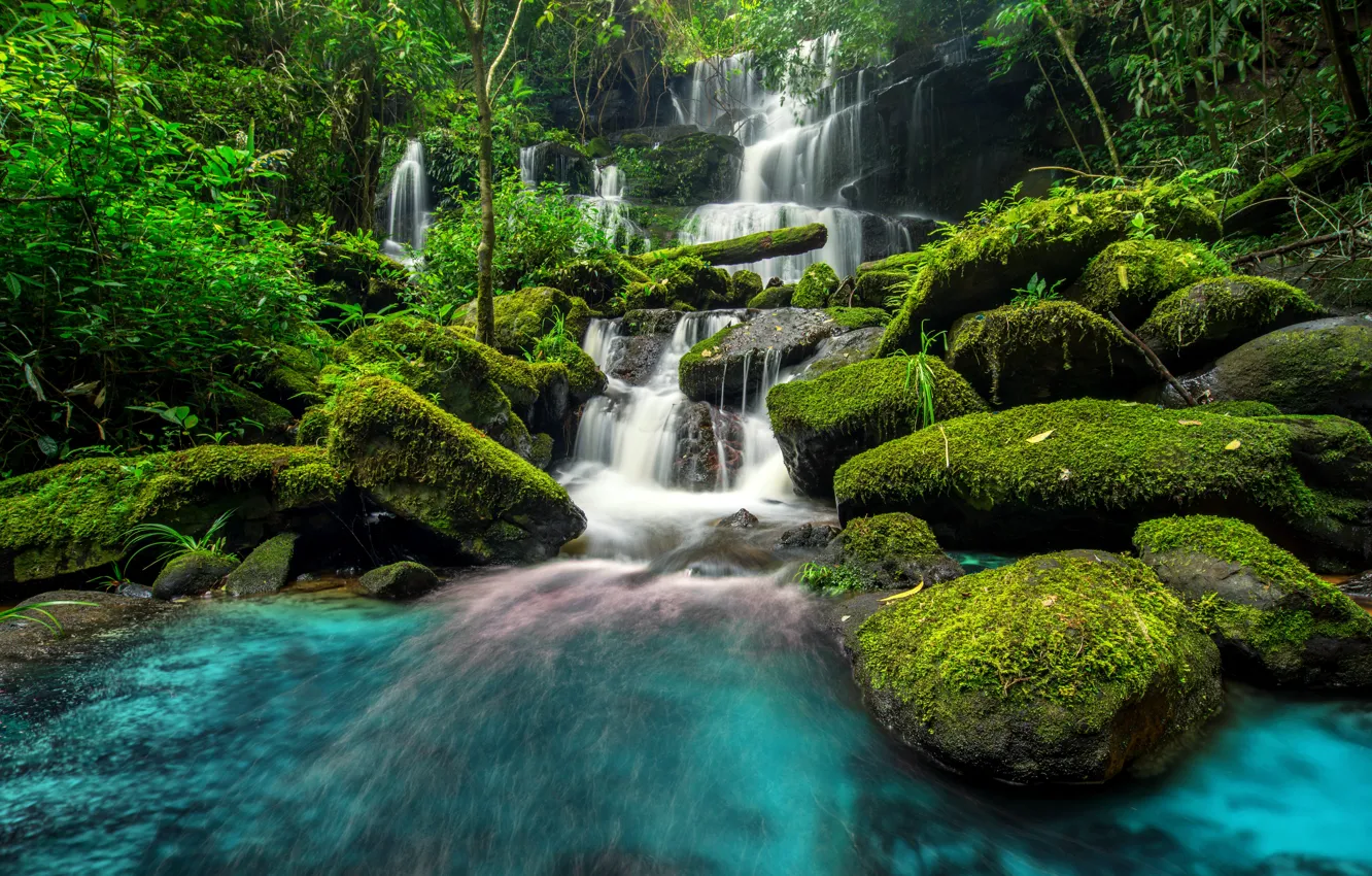 Photo wallpaper forest, river, waterfall, forest, river, jungle, beautiful, waterfall