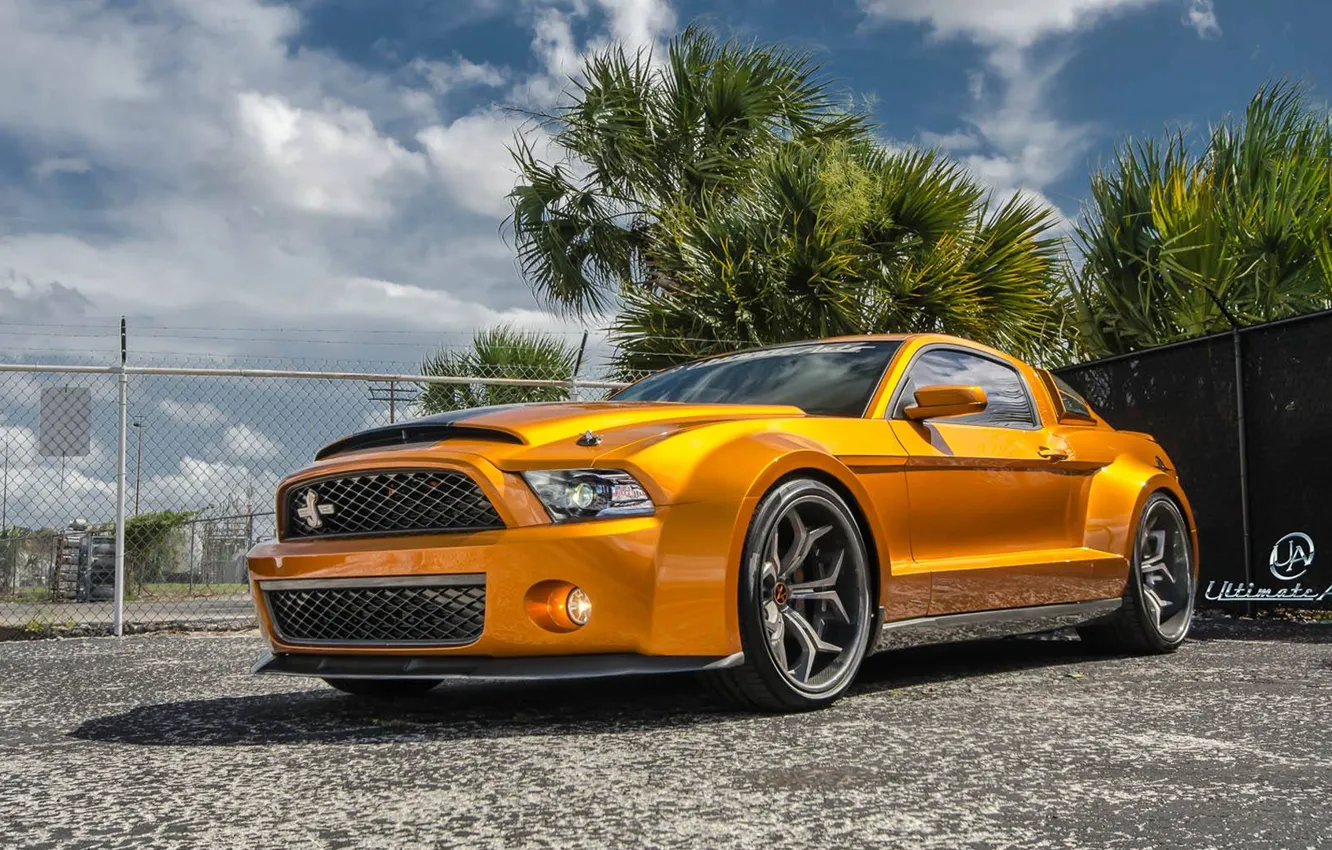 Photo wallpaper Mustang, Ford, Shelby, GT500, muscle car, front, orange, Super Snake