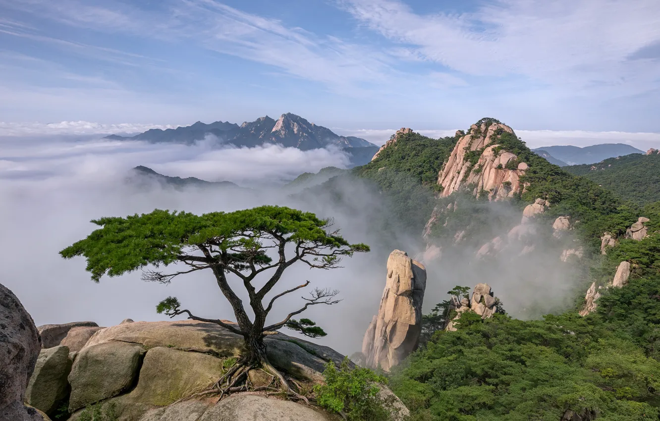 Photo wallpaper summer, clouds, landscape, mountains, nature, tree, South Korea, reserve