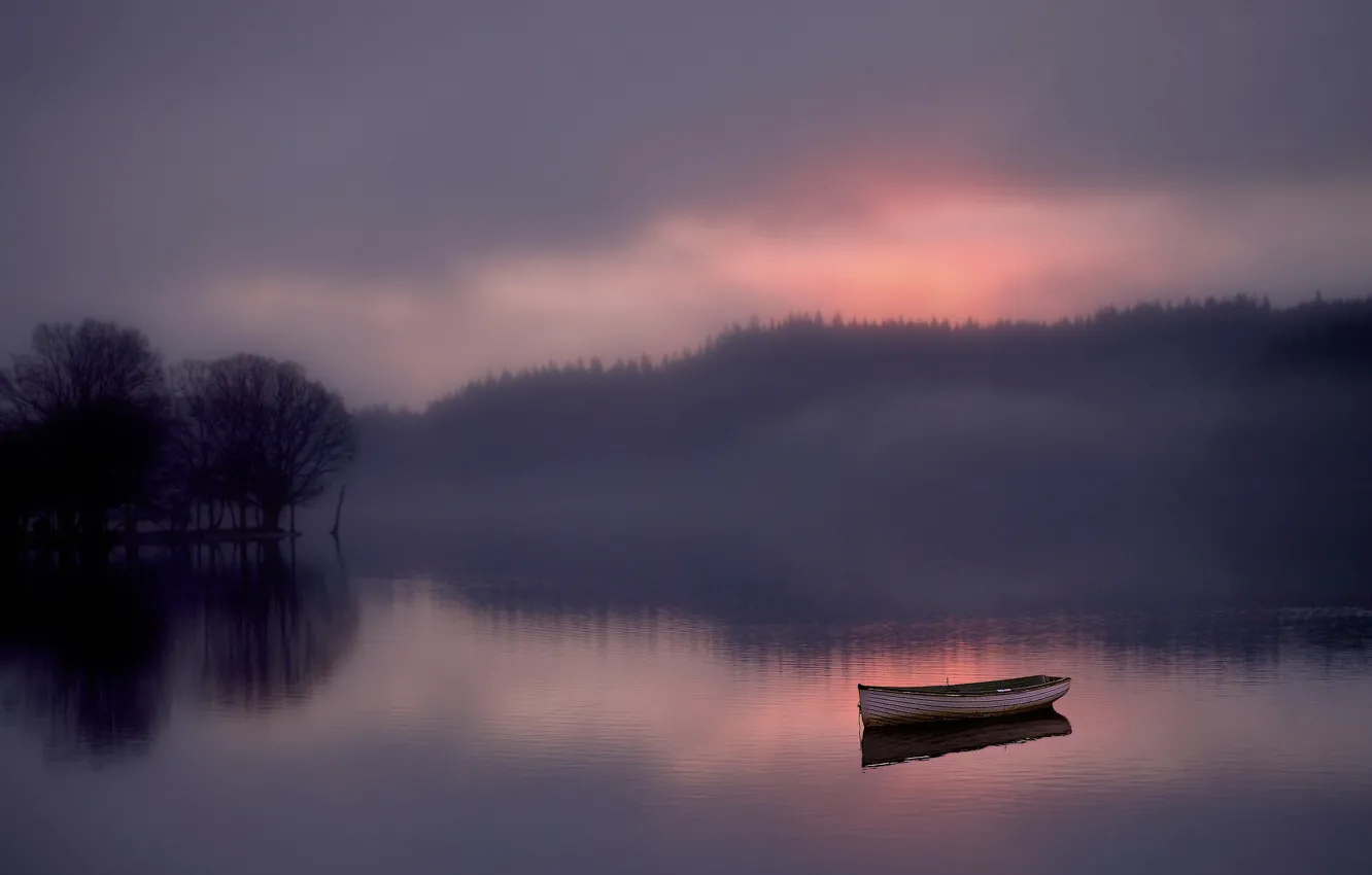 Photo wallpaper forest, fog, lake, dawn, boat