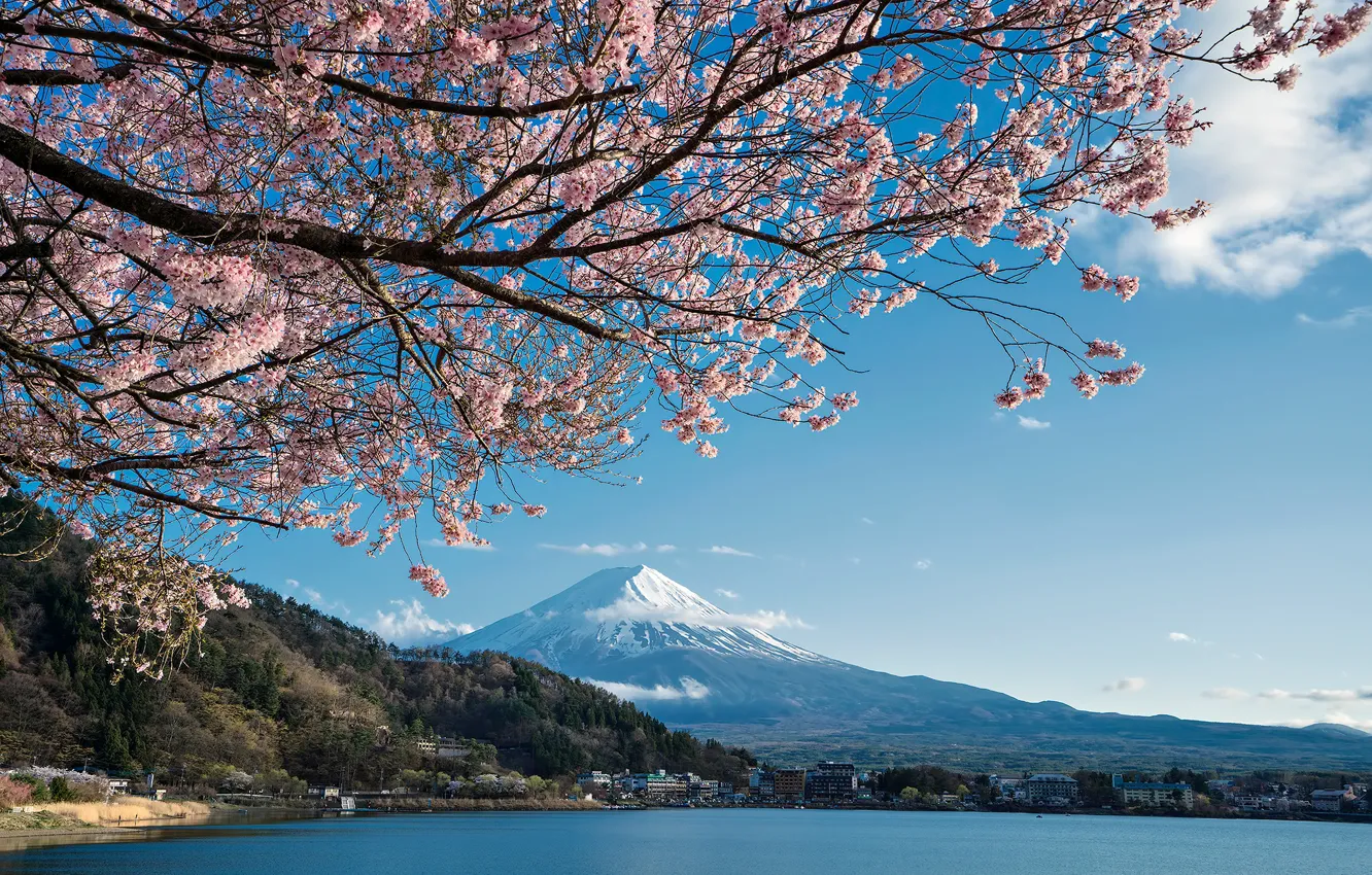 Photo wallpaper lake, spring, Japan, Sakura, Mount Fuji
