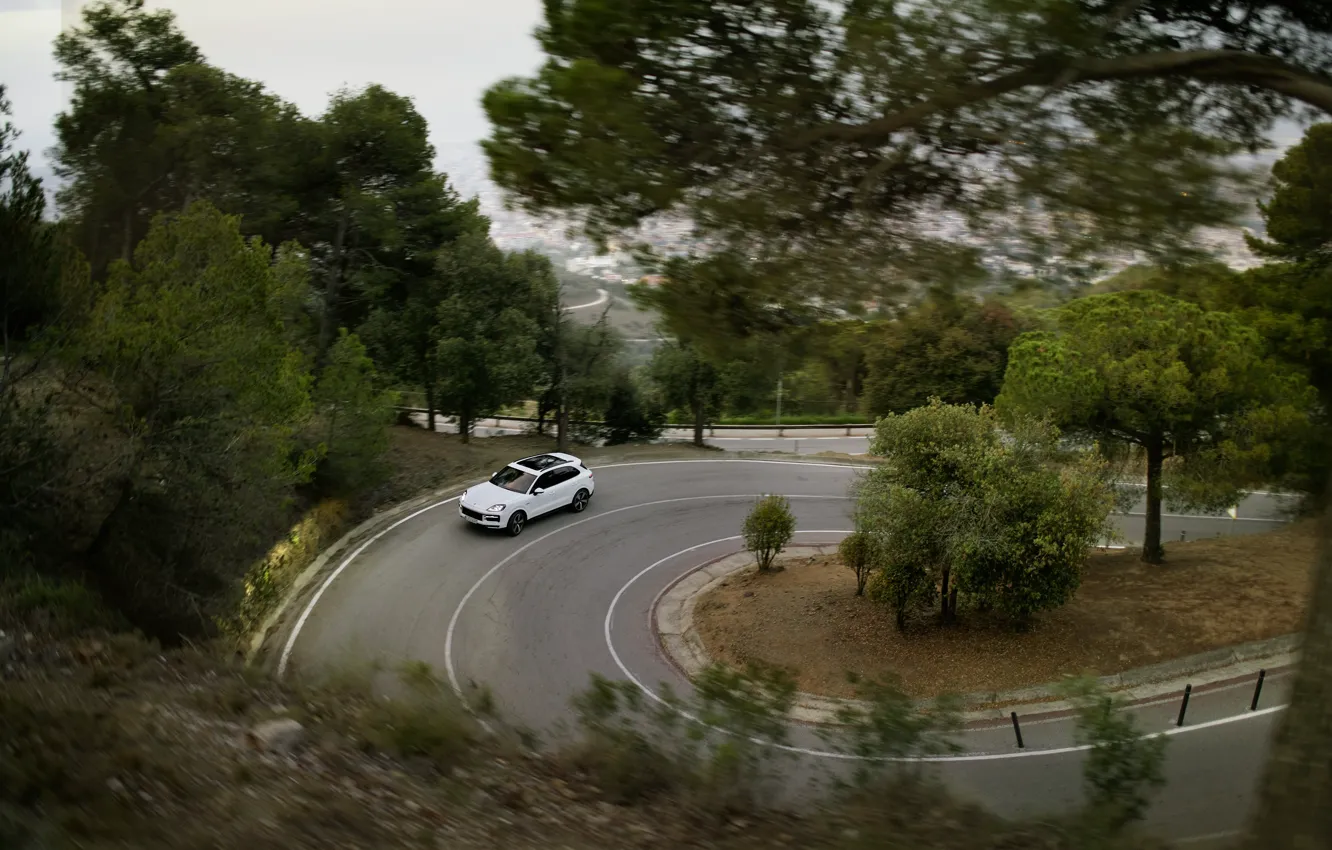 Photo wallpaper car, Porsche, road, trees, Cayenne, Porsche Cayenne S E-Hybrid