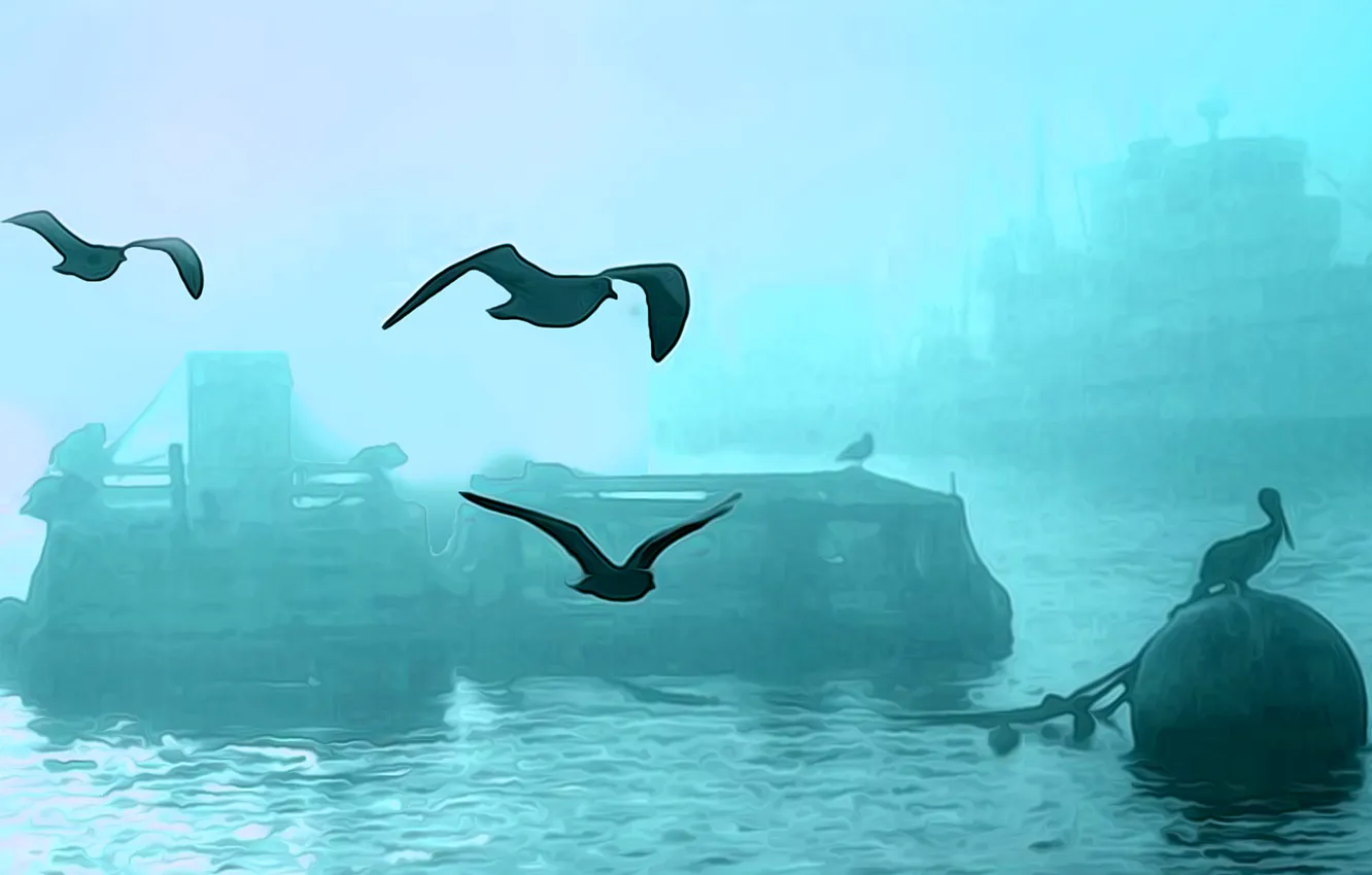 Photo wallpaper birds, fog, ship, harbour