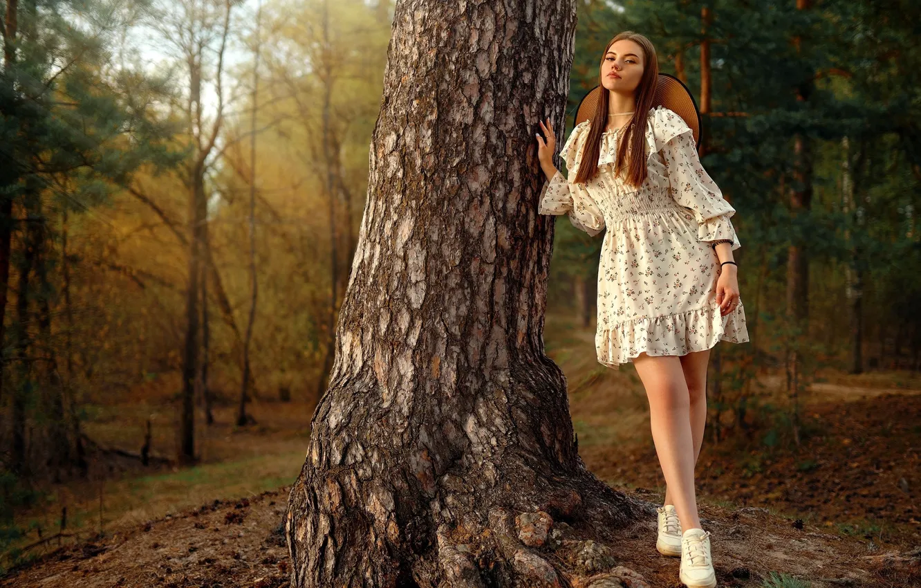 Photo wallpaper forest, dress, trees, hat, nature, model, women, brunette