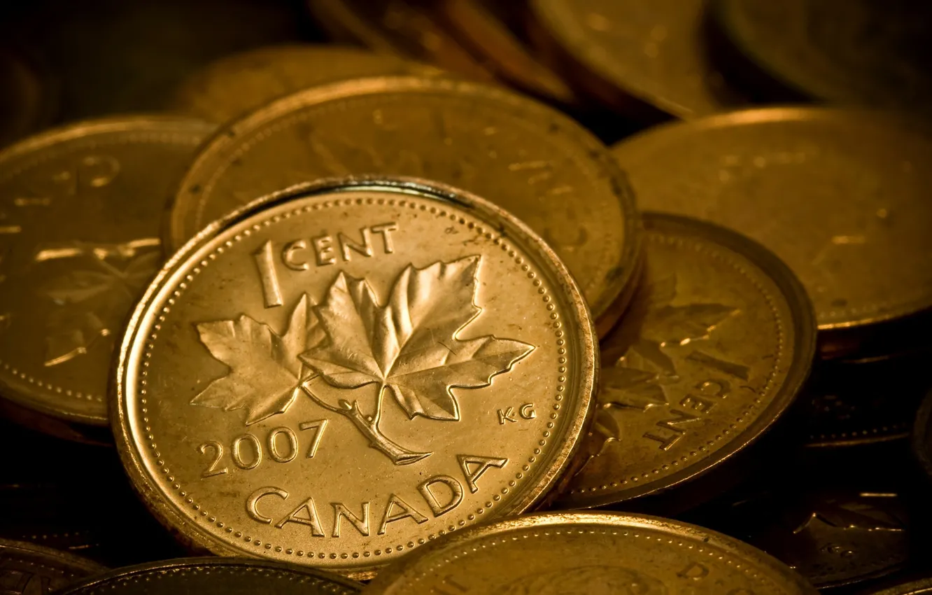 Photo wallpaper money, coins, currency