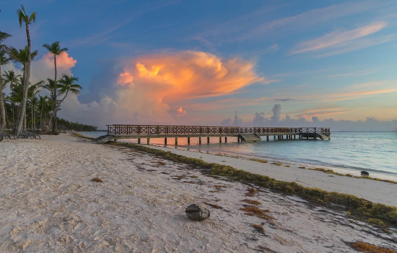 Photo wallpaper beach, the sky, clouds, palm trees, the ocean, coconut, pierce