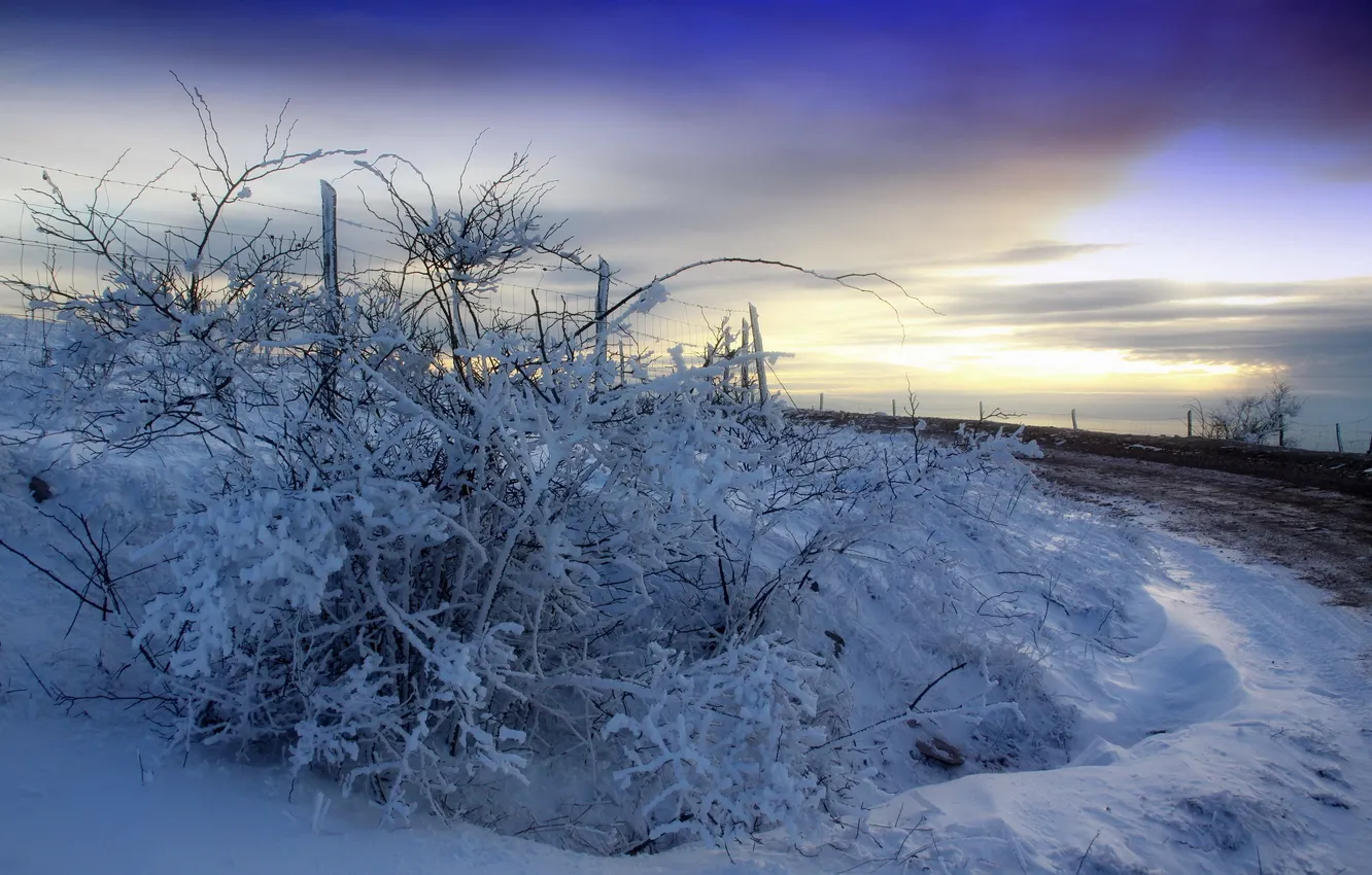 Photo wallpaper winter, road, snow, sunset, the fence, the bushes