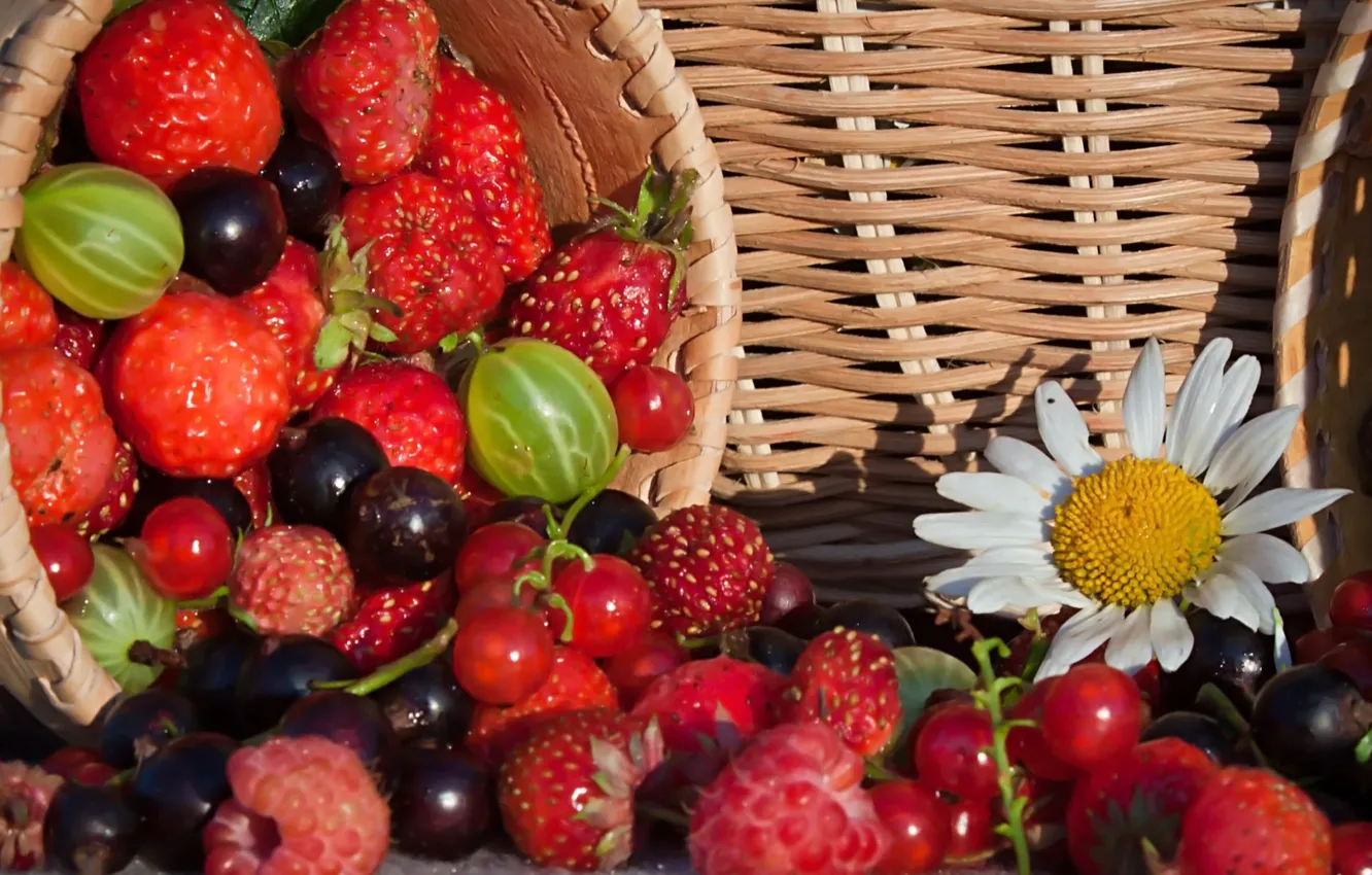 Photo wallpaper flowers, berries, chamomile, strawberries, gooseberry