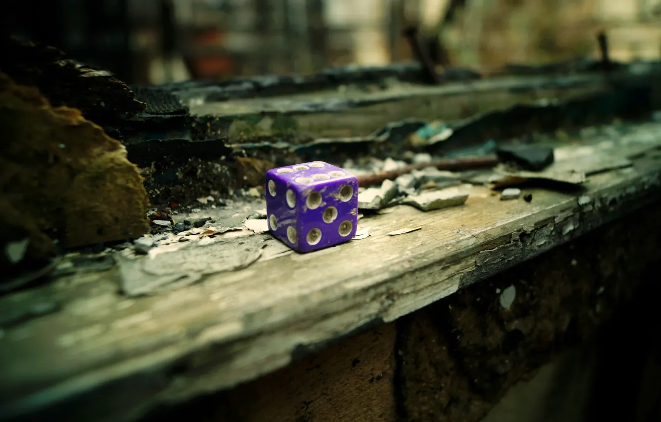 Photo wallpaper background, Board, bones