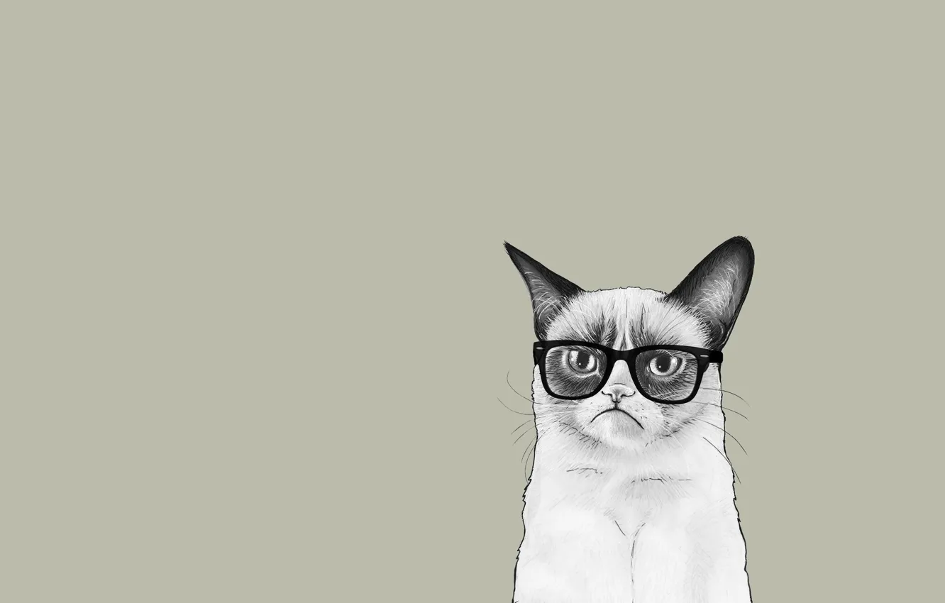 Photo wallpaper cat, cat, minimalism, glasses, Tartar Sauce, Grumpy Cat, Tardar Sauce, Grumpy Cat
