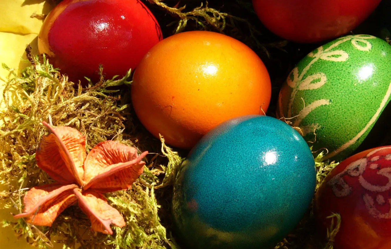 Photo wallpaper color, Easter, Eggs