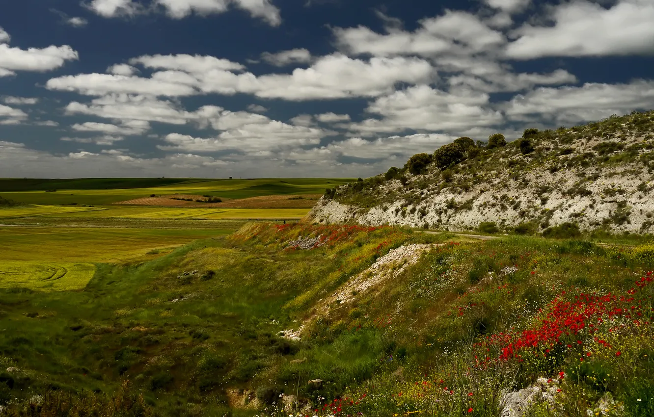 Photo wallpaper the sky, grass, clouds, flowers, rocks, hills, Italy