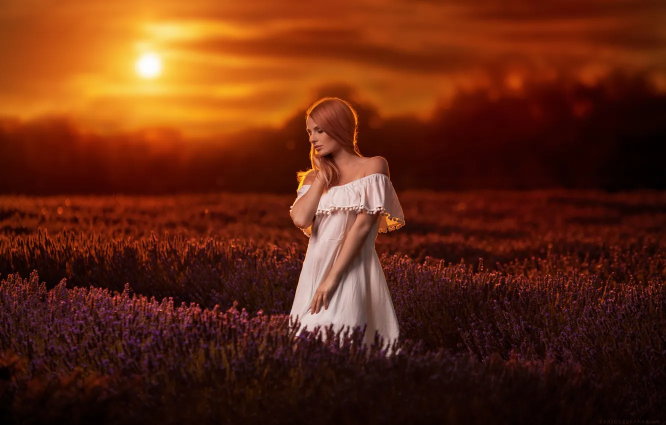 Photo wallpaper girl, dress, field, sunset, model, beauty, lavender, nice