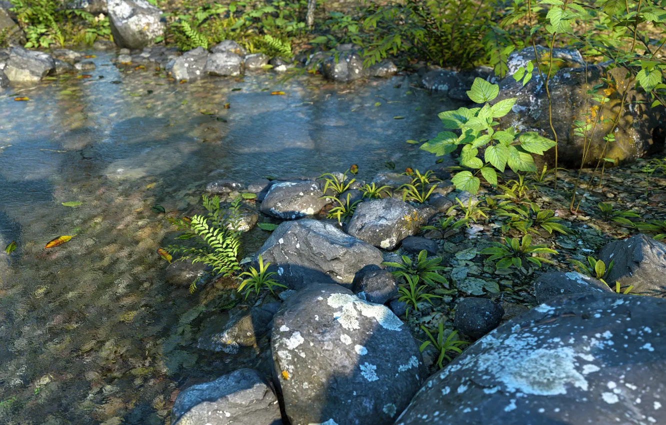 Photo wallpaper nature, stones, vegetation, pond, Fern Water PW