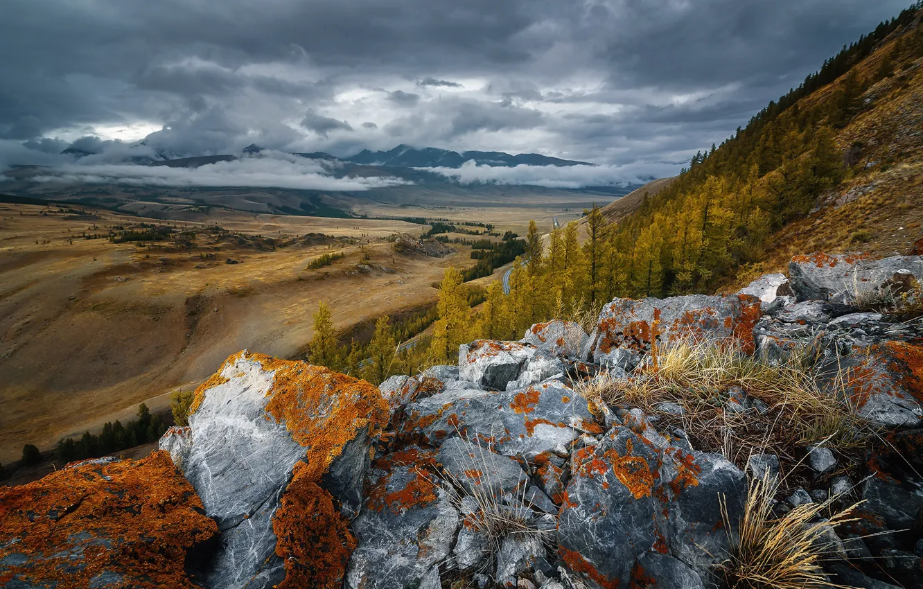 Photo wallpaper autumn, forest, the sky, clouds, mountains, stones, overcast, hills