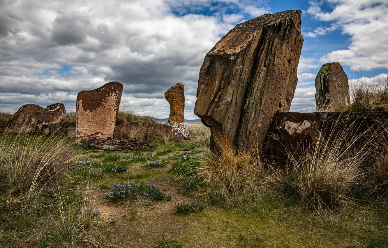 Photo wallpaper flowers, rocks, vegetation