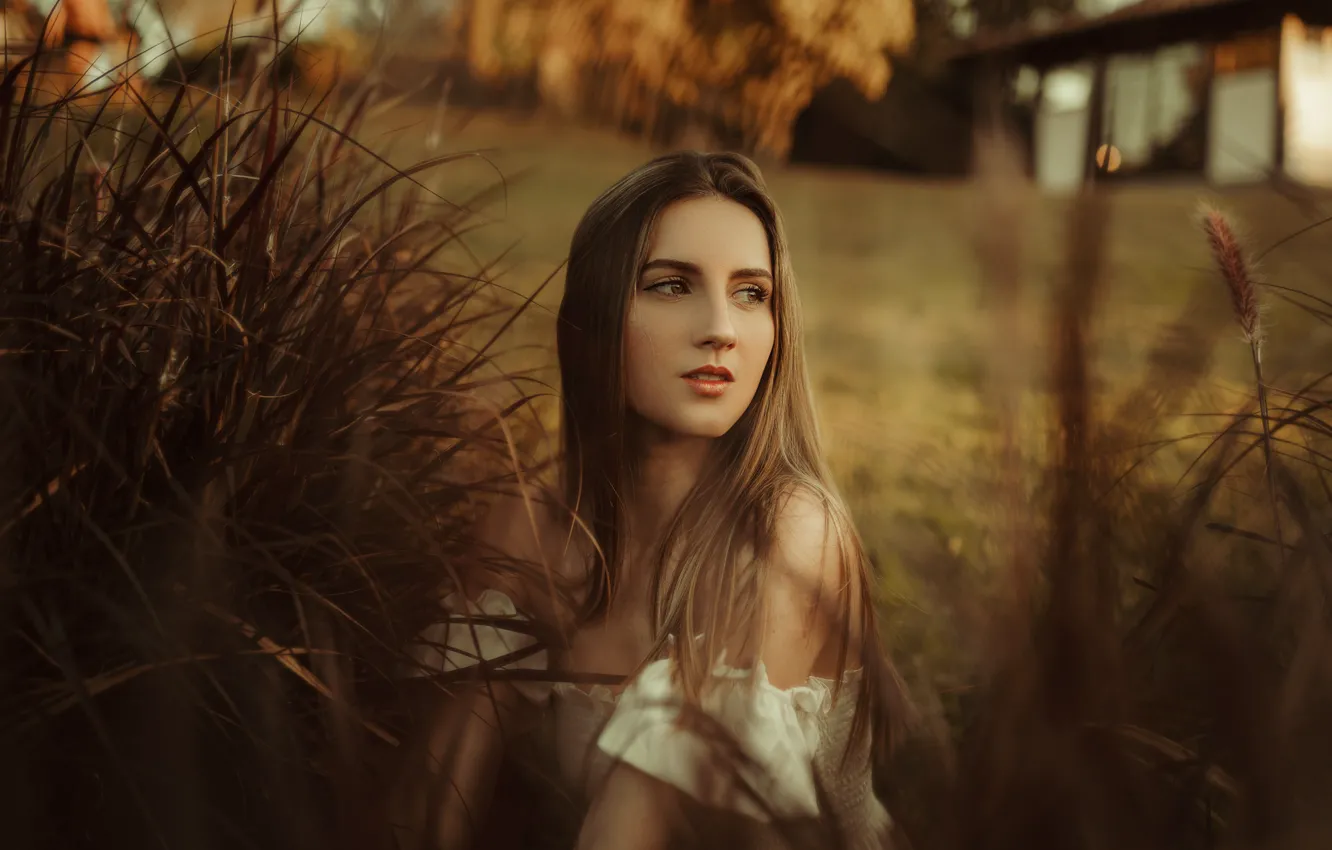 Photo wallpaper pose, model, portrait, makeup, dress, hairstyle, reed, brown hair