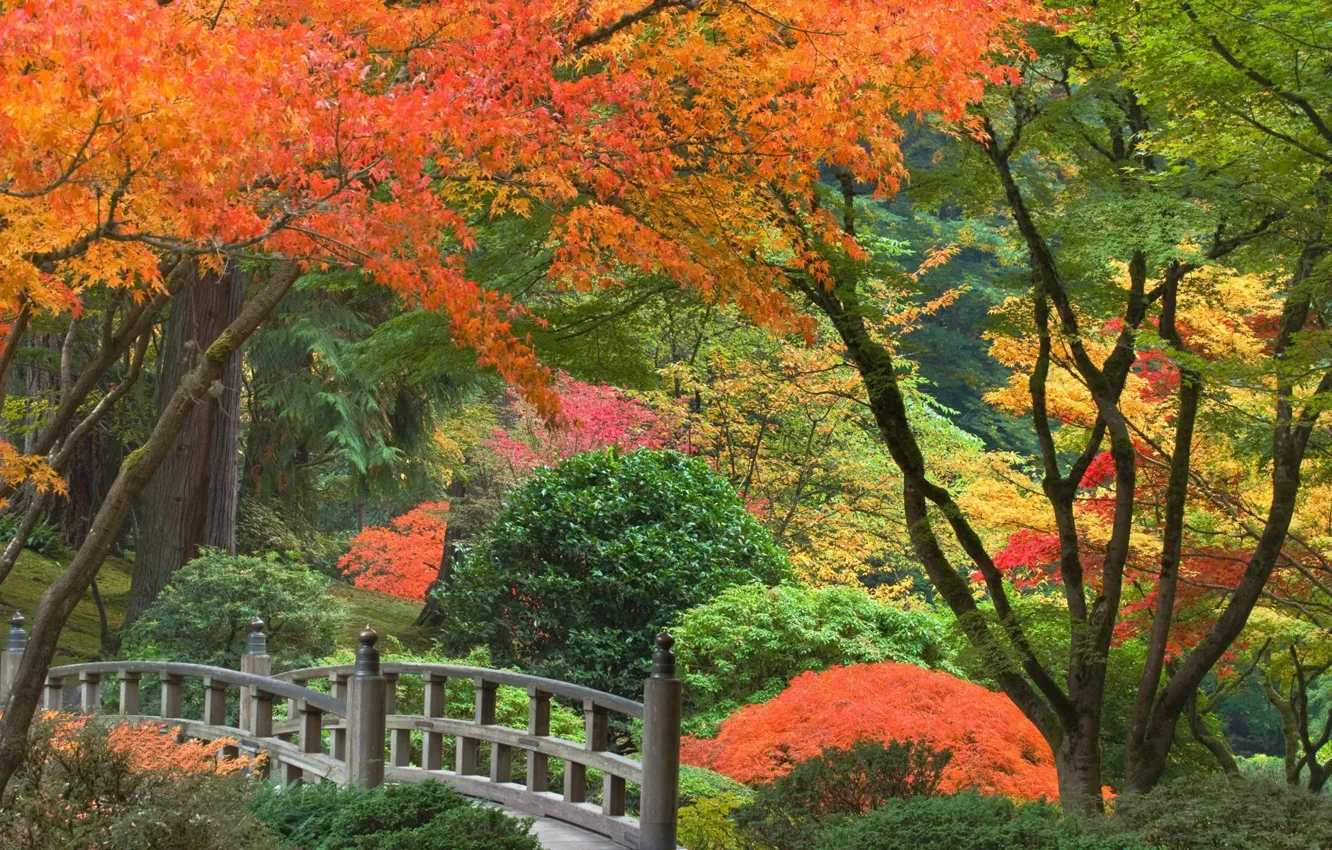 Photo wallpaper autumn, trees, Park, Japan, the bridge, the bushes