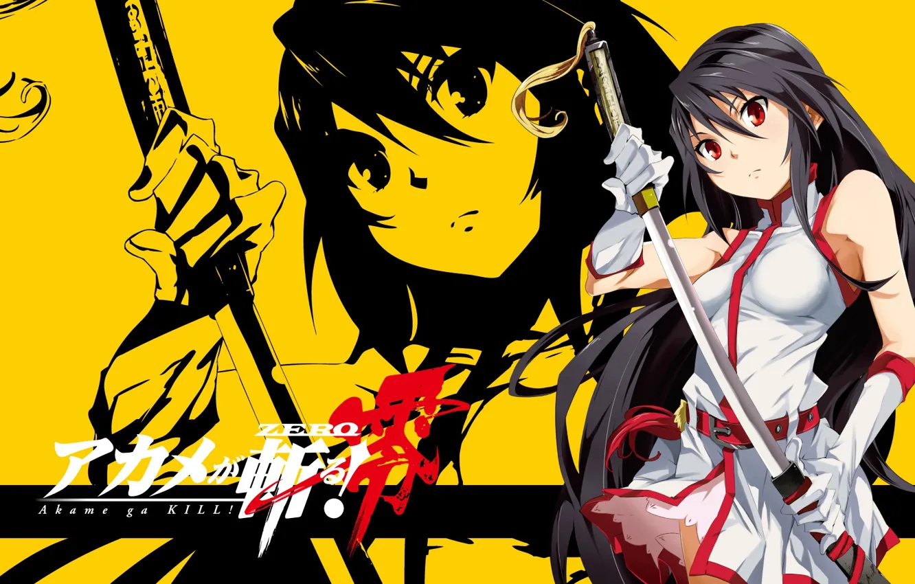 Photo wallpaper girl, kill, anime, katana, akame ga